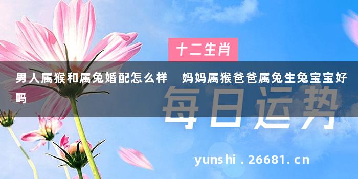 男人属猴和属兔婚配怎么样 妈妈属猴爸爸属兔生兔宝宝好吗